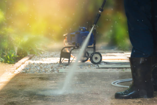 Animal Enclosure Cleaning in Mapleton, UT